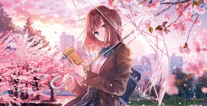 Blossom, anime girl, beautiful wallpaper