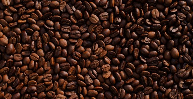 Beverage, Coffee beans, roasted wallpaper