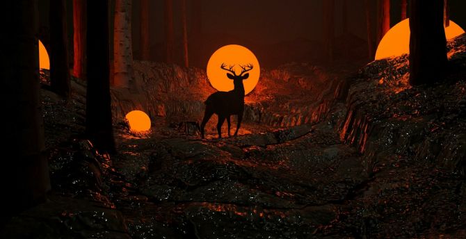 Deer, silhouette, dark night, forest wallpaper