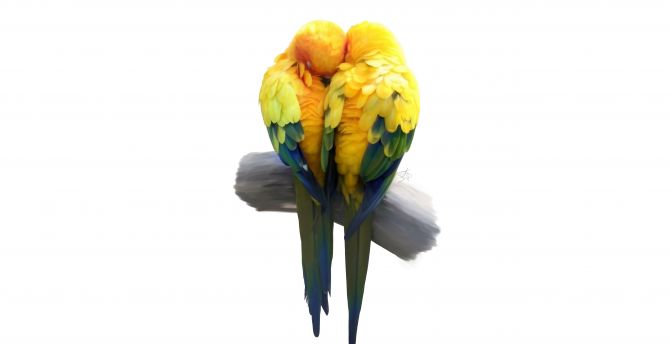 Birds, pair, love, minimal, artwork, parrot wallpaper