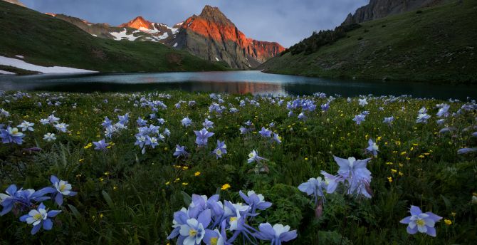 Mountains, sunset and lake, nature, meadow flowers wallpaper