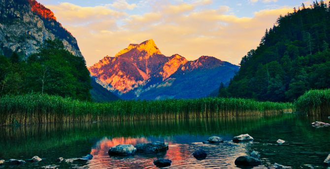 Sunset, alpine, nature, forest, glowing peak, lake wallpaper