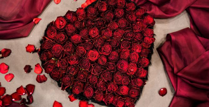 Heart shape Bouquet, red roses, fresh wallpaper