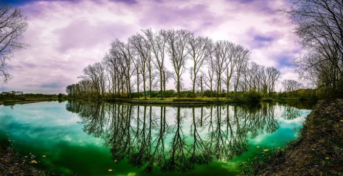 Trees, lake, reflections wallpaper