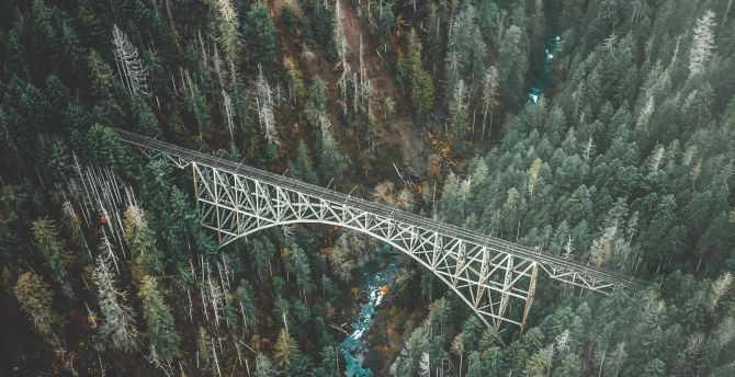 Bridge, forest, aerial view, nature wallpaper