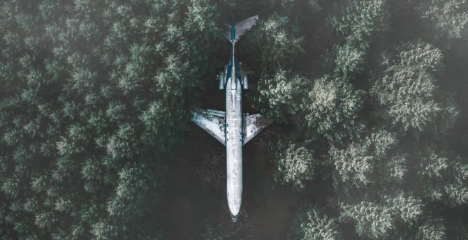 Airplane, forest, aerial view wallpaper