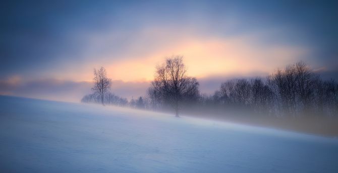Winter, fog, landscape, nature wallpaper