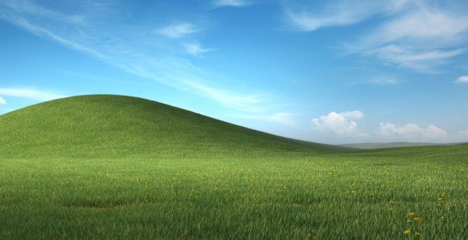 Meadow bliss, green grass, landscape, Microsoft Windows XP stock wallpaper
