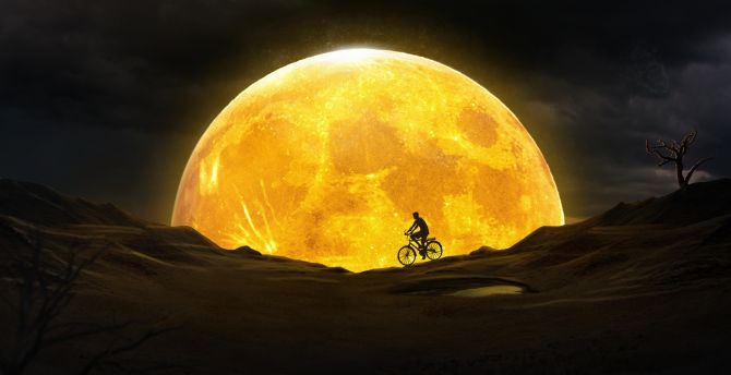 Moon, night, yellow moon, cycling, silhouette, art wallpaper