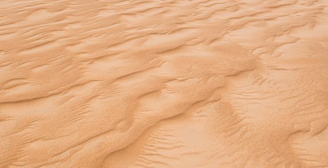 Sand of desert, landscape wallpaper