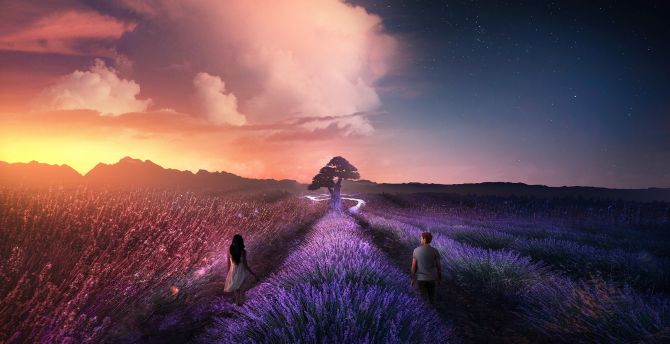 Couple, lilac farm, landscape, digital art, sunset wallpaper