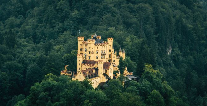 Castle, forest, old architecture wallpaper