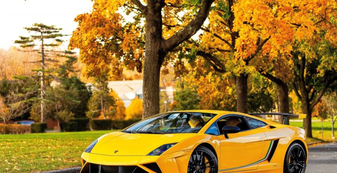 Lamborghini Gallardo, yellow sports car wallpaper