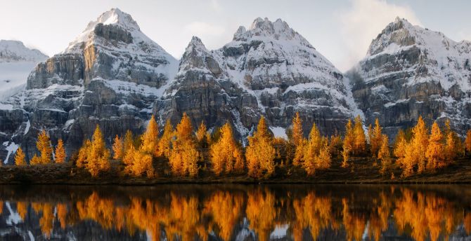 Golden trees, lake, mountains wallpaper