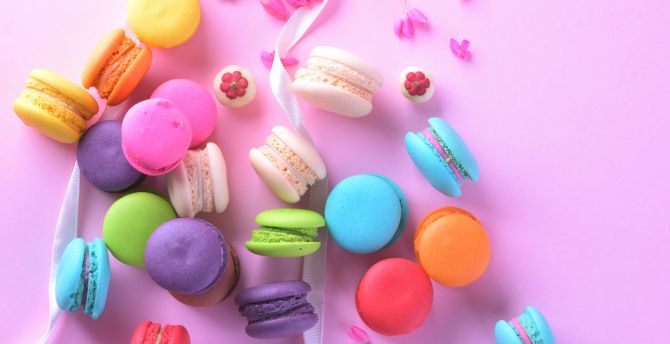 Macarons, sweets, food, colorful wallpaper