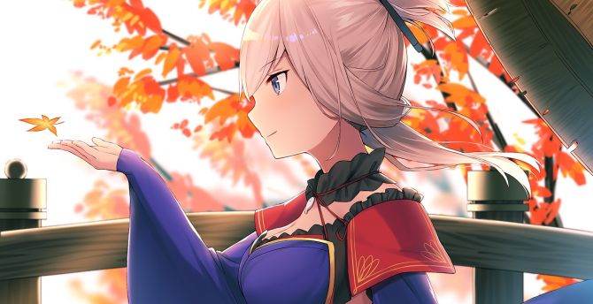 Hot, anime girl, Fate series, Musashi Miyamoto wallpaper