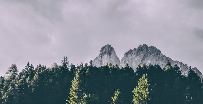 Mountains, trees, Peitlerkofel, Dolomites, Italy wallpaper