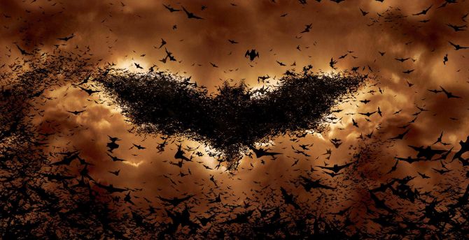 Batman Begins, bats, symbol, movie, logo wallpaper
