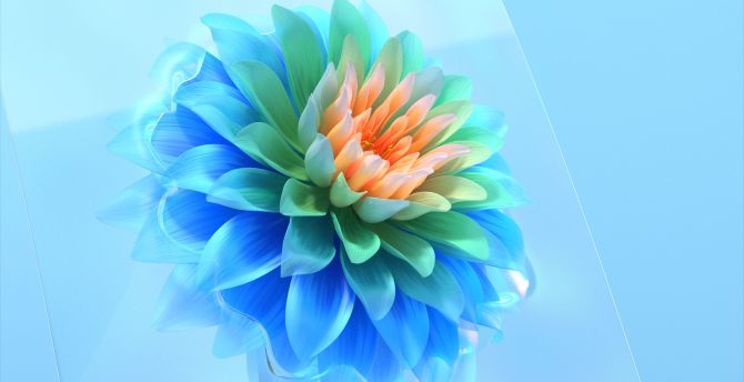 Colorful, digital flower, art wallpaper