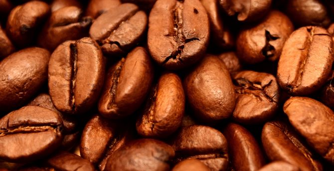 Roasted, coffee beans, close up wallpaper