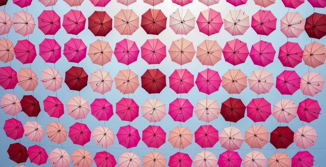 Decoration, umbrella pink wallpaper