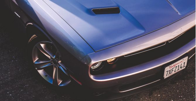 Muscle car, Dodge, front wallpaper