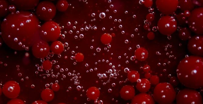 Red fruits, bubbles wallpaper
