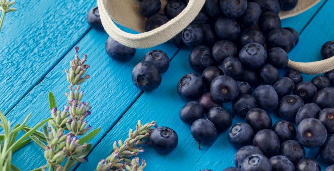 Fresh, fruits, blueberries, berries wallpaper
