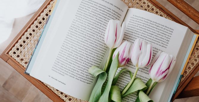 Wallpaper flowers and book, reading desktop wallpaper, hd image, picture,  background, 87f643 | wallpapersmug