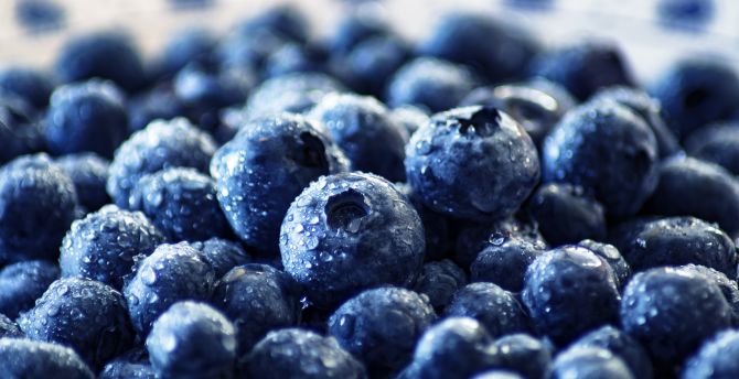 Fresh, fruits, blueberry, drops wallpaper