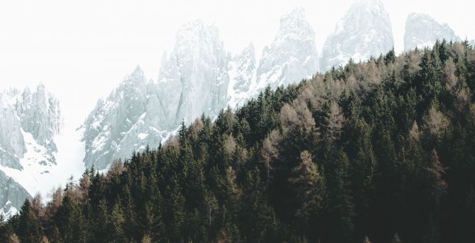 Dolomites, autumn, trees wallpaper