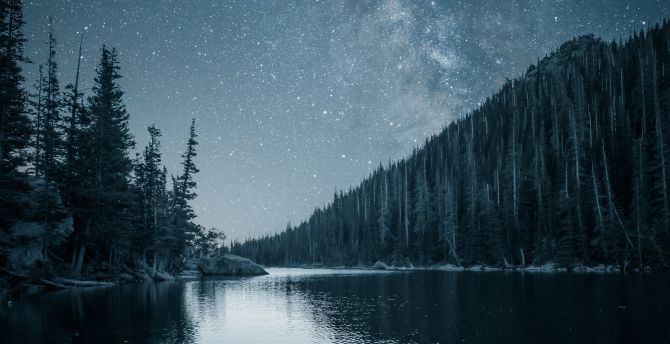 Night out, lake, forest, nature wallpaper