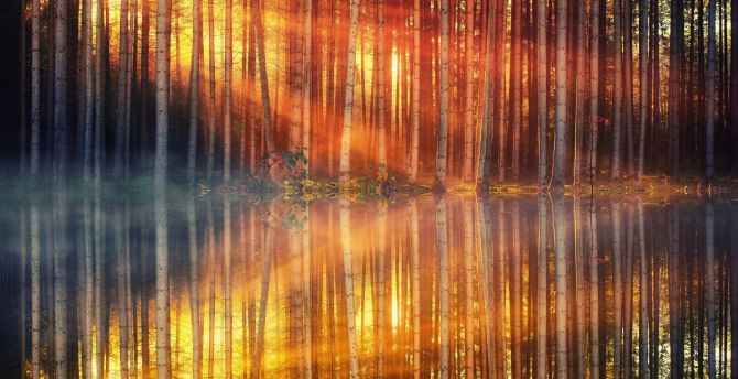 Sunlight, sunbeams, tree, autumn, lake, reflections wallpaper
