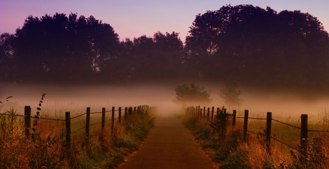 Pathway, fence, dawn, sunrise, fog wallpaper