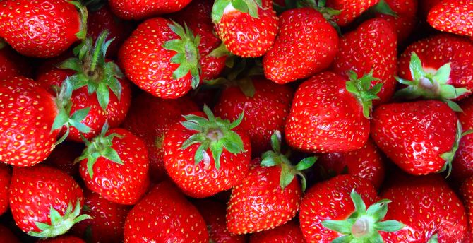 Fresh, fruit, strawberry wallpaper