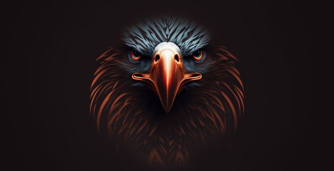 Glowing beak, Eagle, bird predator wallpaper
