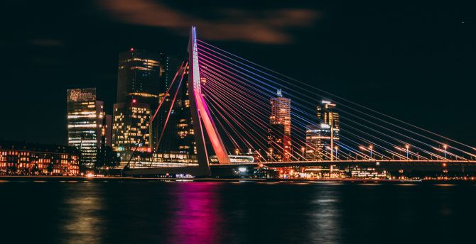 Erasmus Bridge, night, cityscape, Rotterdam, night wallpaper