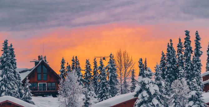 Houses, winter, golden glow, sunset wallpaper