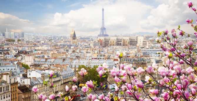 Eiffel tower, Paris, France, flowers, beautiful blossom wallpaper