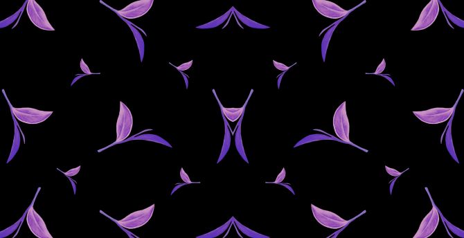 Violet leaves, dark background, abstract, minimal wallpaper
