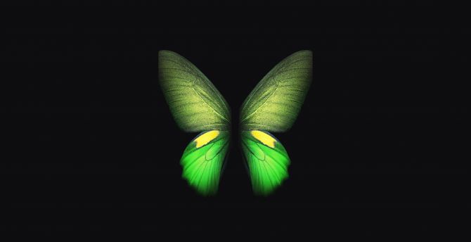 Wallpaper samsung galaxy fold, green butterfly, minimal, art desktop  wallpaper, hd image, picture, background, 8c5795 | wallpapersmug