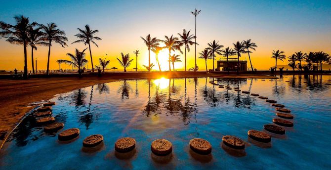 Sunset, palm tree, pool, water wallpaper