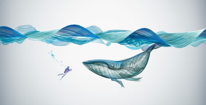 Underwater, whale, fish, illustration, art wallpaper