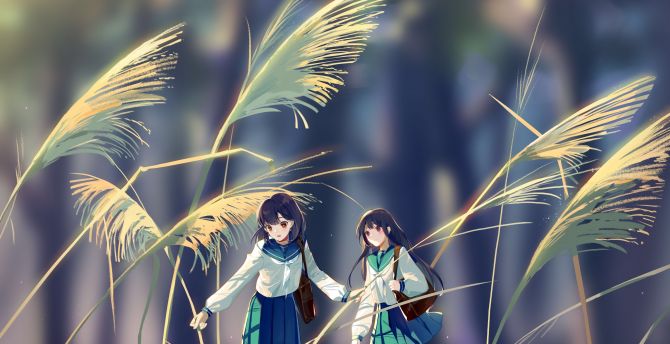 Art, dwarf, grass, anime girls wallpaper