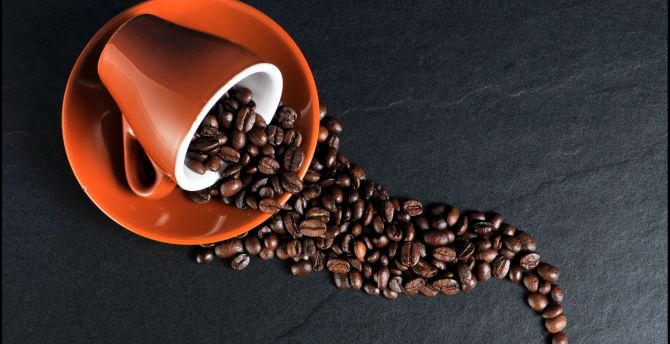 Coffee beans, cup wallpaper