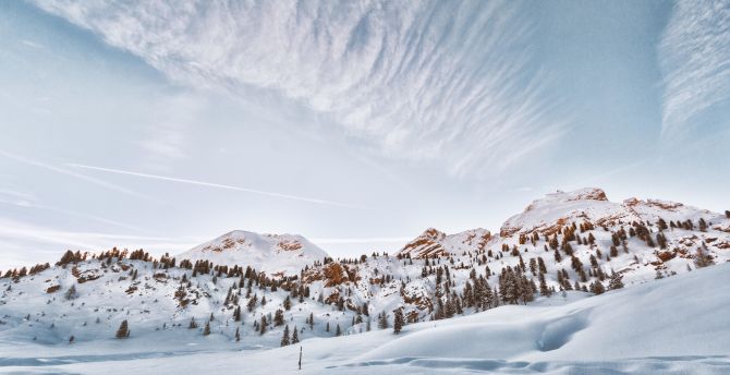 Winter, snow layer, landscape, nature wallpaper