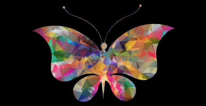 Digital art, butterfly, abstract, colorful wallpaper