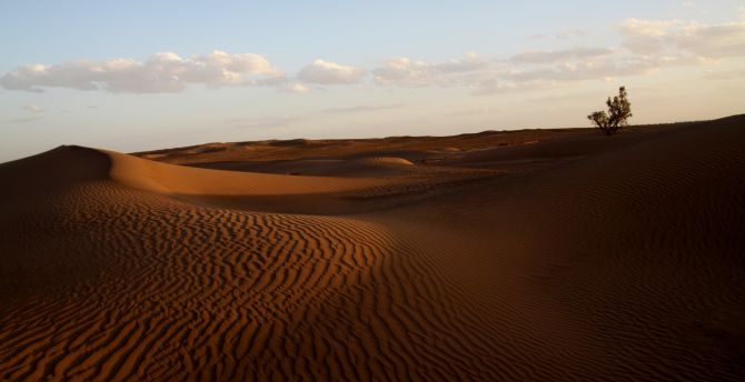 Desert, sand, sunset, sky wallpaper