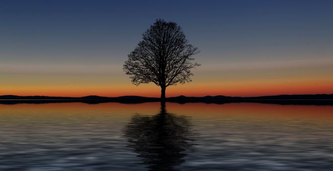 Sunset, silhouette, tree, lake, digital art wallpaper