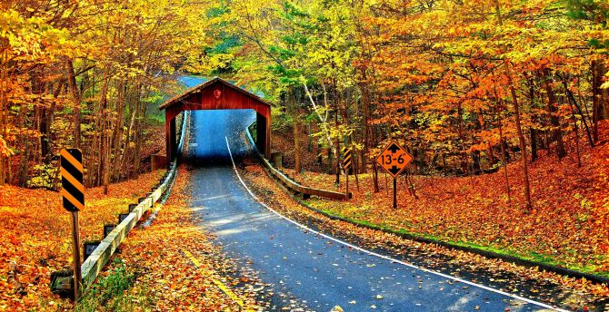 Highway, Cambron Covered Bridge, autumn, nature wallpaper